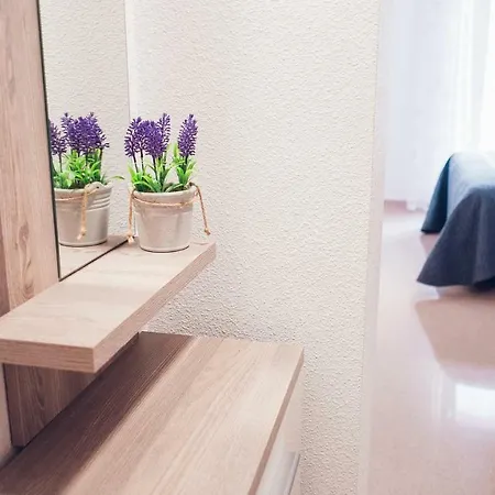 En Centro Tradicional Appartement Alicante